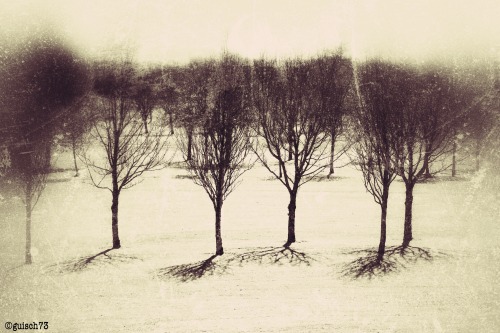 guisch73:  Every picture has its shadows And it has some source of light Blindness blindness and sight The perils of benefactors The blessings of parasites Blindness blindness and sight (Joni Mitchell - Shadows And Light) 