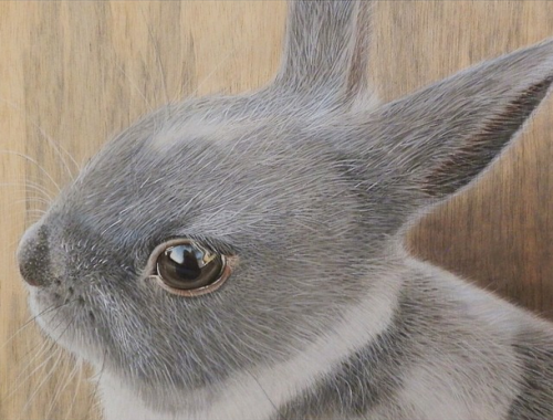 loraclespeaks:  archiemcphee:  Singapore-based visual artist and art instructor Ivan Hoo uses colored pencils and pastels to create awesome illustrations on wood panels that are both photorealistic and anamorphic. Hoo’s meticulous drawings look so incredi