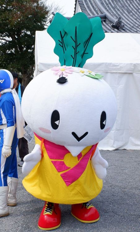 azflashjp: 【ゆるキャラ】からみん（長野県下條村） 長野県の南部に位置する下條村で活動する「からみん」。辛み大根がモチーフ。 2枚目の写真は下條村のヒーロー「カッセイカマン」と、「オカザえも