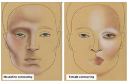 tordles:  becoming-a-drag-queen:  How to contour and highlight your face! Here is an image I found on where natural highlights are on men and women, a perfect reference for beginning drag kings and queens like me.   guys this is a lifesaver for cosplay!