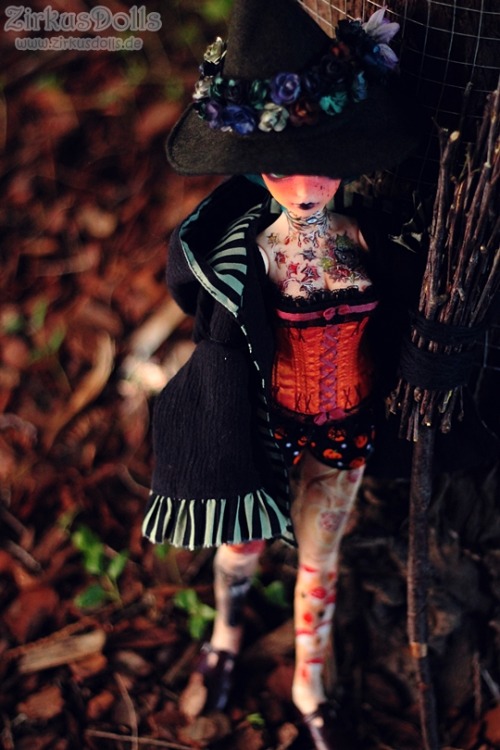 zirkusdolls: I wanted a witch for so long and finally I have Loreley &lt;3  What is what: Lorele