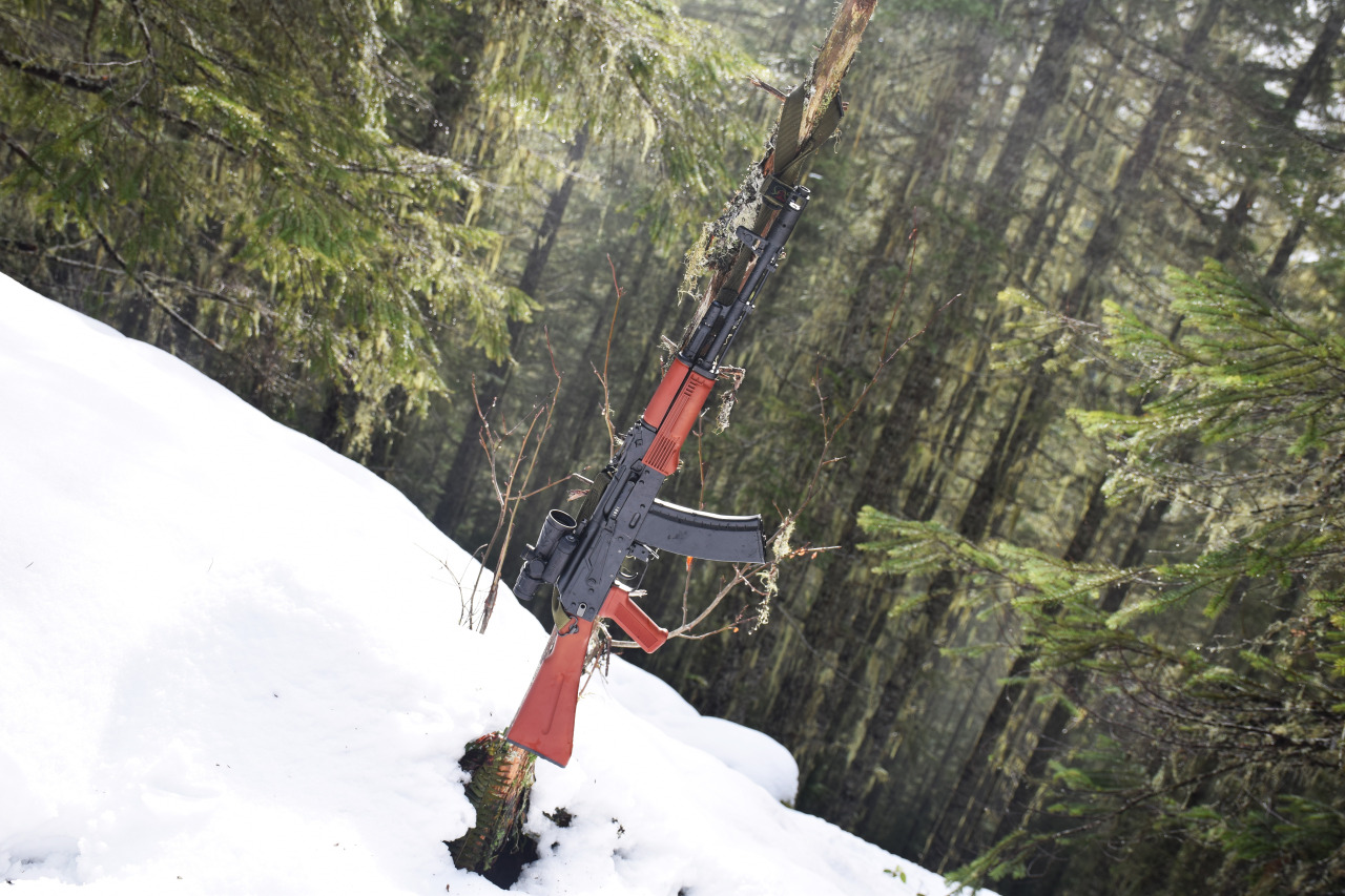 lookatmyguns:  My AKS-74 on a dead tree along the Excelsior Pass trail in rural Washington