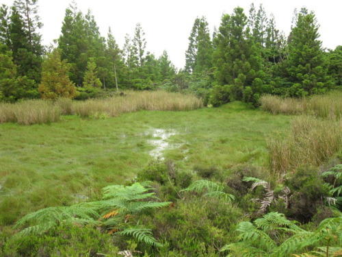 surr0unds:terceira