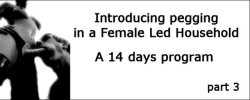 straponlogs:  Introducing pegging in a Female Led Household – part 3 Over the two previous days you have started to break down your man’s barriers and made him feel your power like never before. You must now push forward to the next step. From your