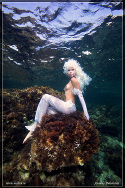 imickeyd:Anatoly Beloshchin - Sea Princess