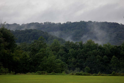 Fog in The Hill by BeccaPFPhotos on Flickr.