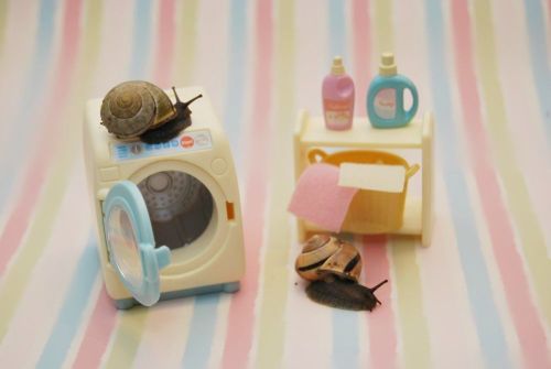 oliverthesnail:  Chores go much quicker when you have someone to help you.