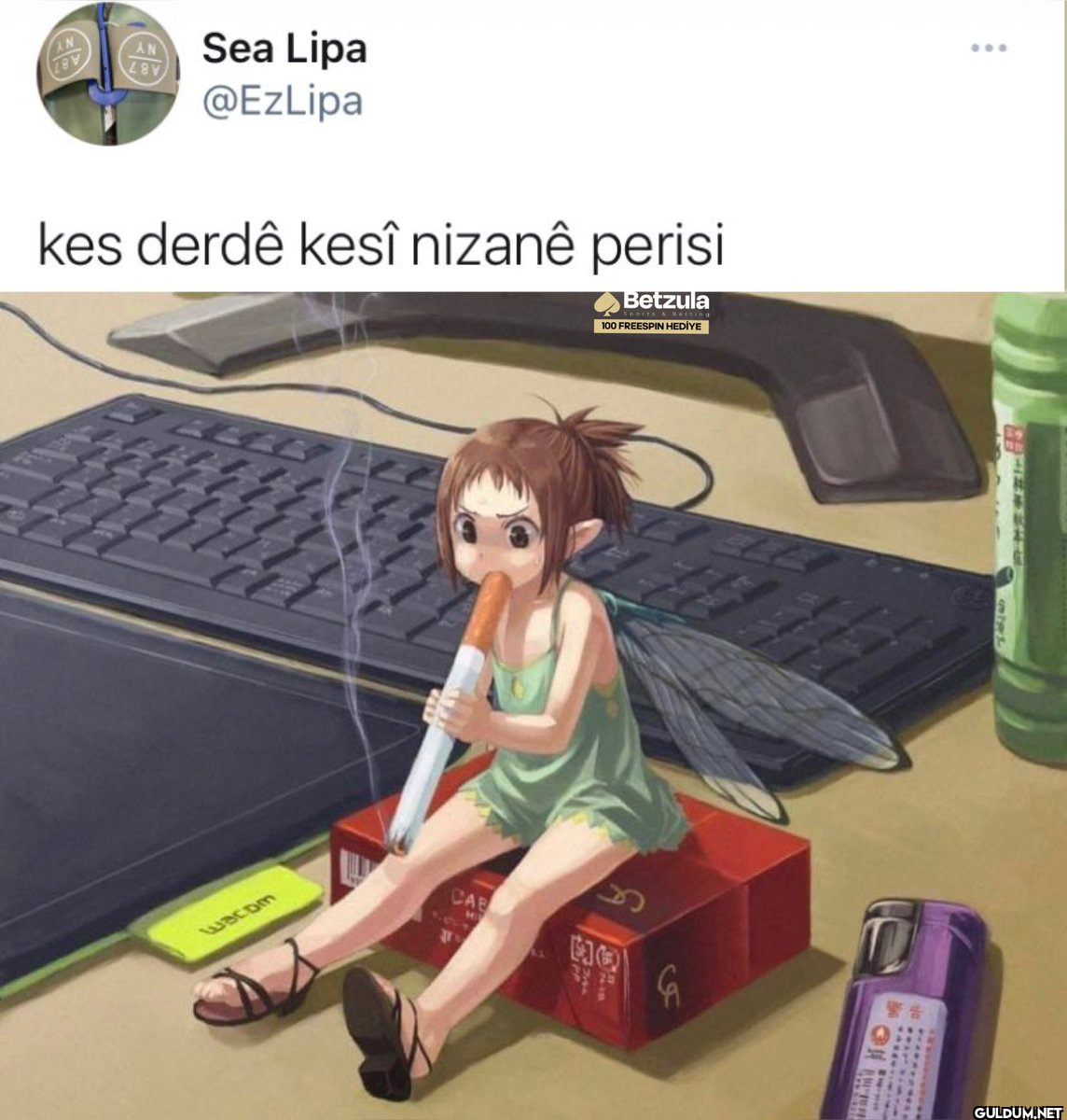 Sea Lipa @EzLipa kes derdê...