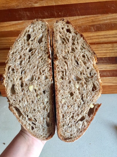 adulthoodisokay:Experimental loaf: hybrid leavened, 50% fresh milled red fife boule with toasted sun