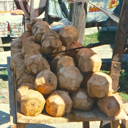 Cocos pelados, mercado, Santiago Atitlán, Guatemala, 2002.Peeled coconuts are a popular item in mark