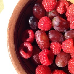 initforthe-endorphins:  Grapes and rasberries#VSCOcam#grapes#rasberries#fruit#cutcarbscutlife#hclf #vegan #plantpower #plantbased