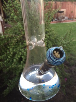 veraisastoner:  Keif bowls in this crisp