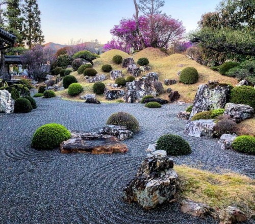 ⛳️1225. 実相寺庭園 Jisso-ji Temple Garden, Hamamatsu, Shizuoka 昨日は龍雲寺から新居町⇨三ケ日⇨引佐…と浜名湖を自転車で一周。ビワイチならぬナコイチ