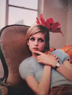 Twiggy! (｡♥‿♥｡) 