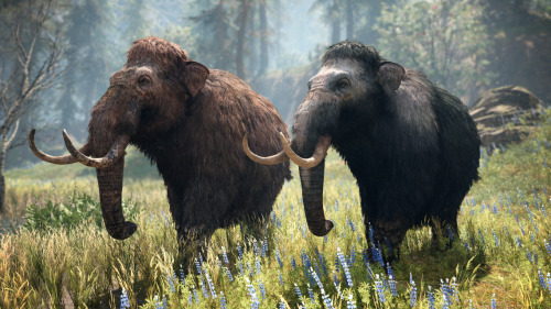  Did you pre-order Far Cry Primal? Here’s what you can expect when you redeem your bonus. 