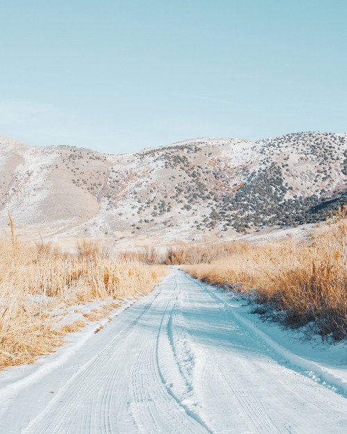 juliamstarr: Winter Walk | Instagram