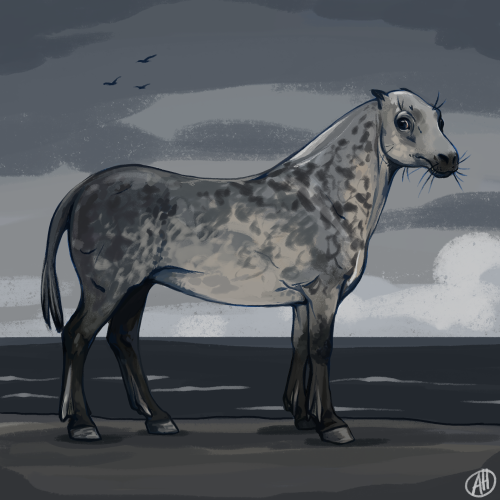 Ceffyl Dwr (Water Horse)