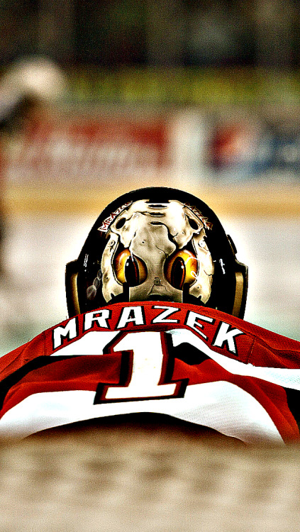 elzaechelon:  IPhone 5 Backgrounds — Detroit Red WIngs: Petr Mrazek — for Anonymous.