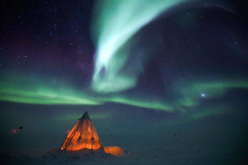 nubbsgalore:  camping under the aurora australis (first pic) and borealis, photographed by (click pic) greg harvey, ol chul kwan, patrick cullis, kevin schafer, matthias breiter and linda drake (more posts of the aurora) 