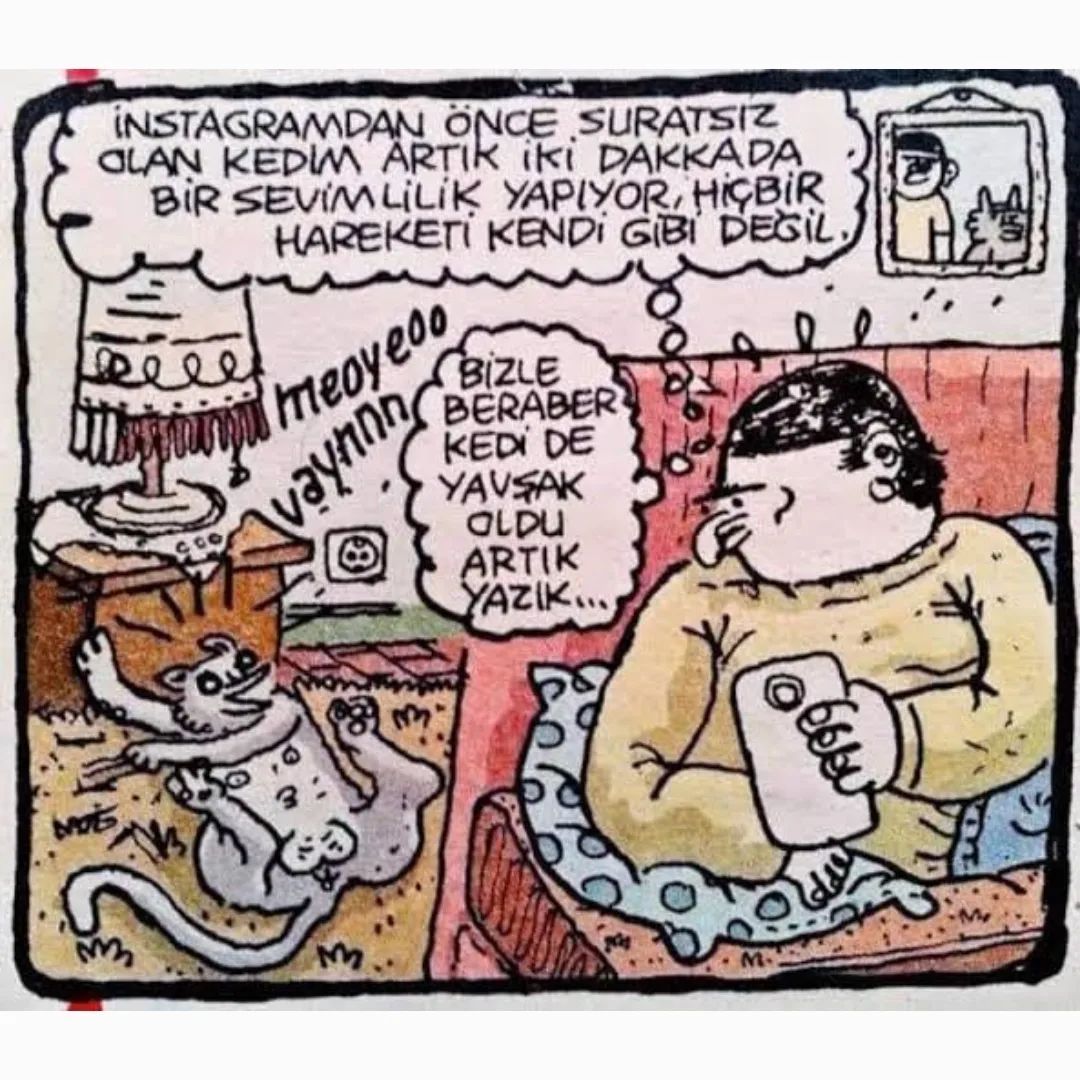 Kedi de yavşak oldu.....