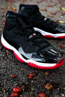 airville:  Bred 11s by Niwreig