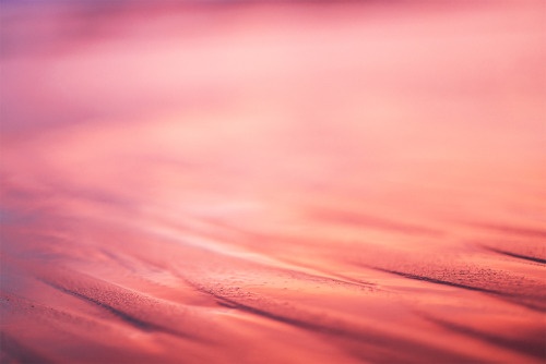 ne0nicecream:  The Colors of Carpinteria EtsyInstagram