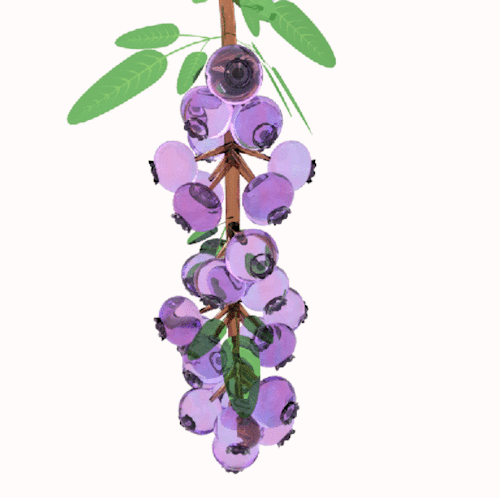 kcamberart:blueberries II