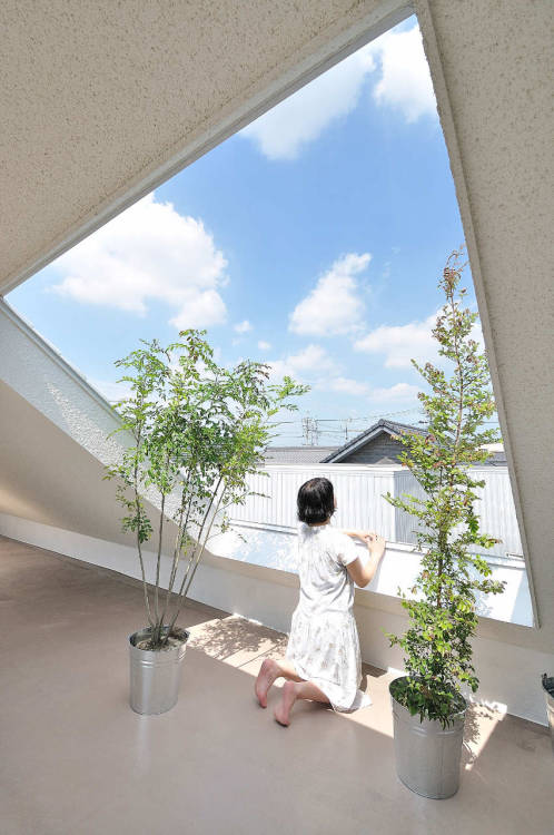 White Mountain House / Studio Velocity Architects Japan