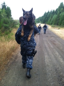 legendofshelby:  The bond between a handler and his dog is indescribable. Willing to lay their lives on the line for one another. Trusting the other with every fiber of their being.