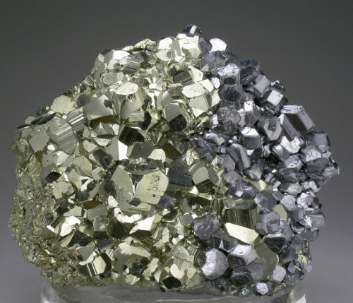 Pyrite and Galena - Huanzala Mine, Huanuco Department, Peru