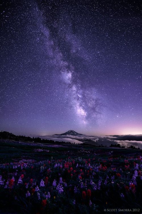 Possibly The Best Collection Of Images Of The Milky Way From Here On Earth Ever!
