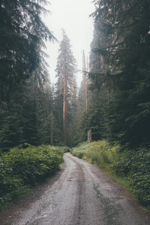 earth-dream:Road | Photographer