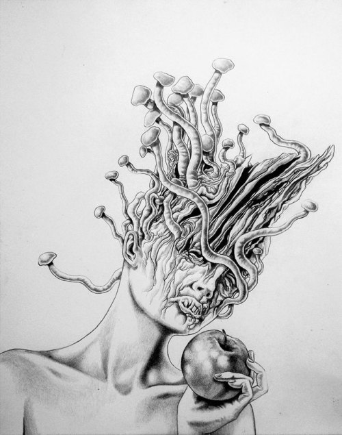 entheognosis:by Adam Sturch