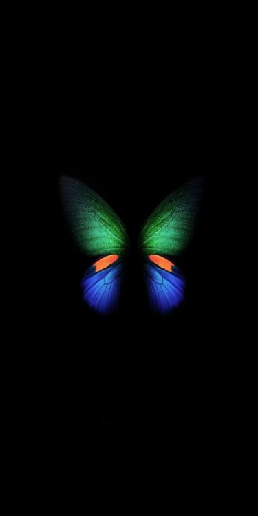 Samsung Galaxy Fold, green-blue butterfly, minimal, art, 1080x2160 wallpaper @wallpapersmug : https: