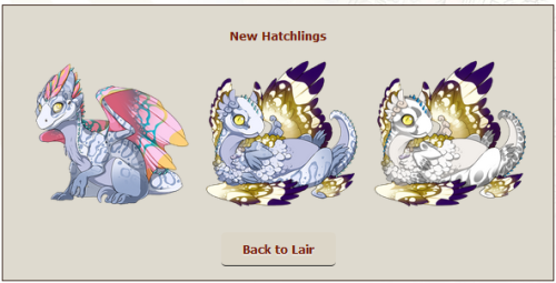 punkinguts:Gen 2 Children of Light have arrived!Born of Livnath and Sawyer, two dragons who devoted 