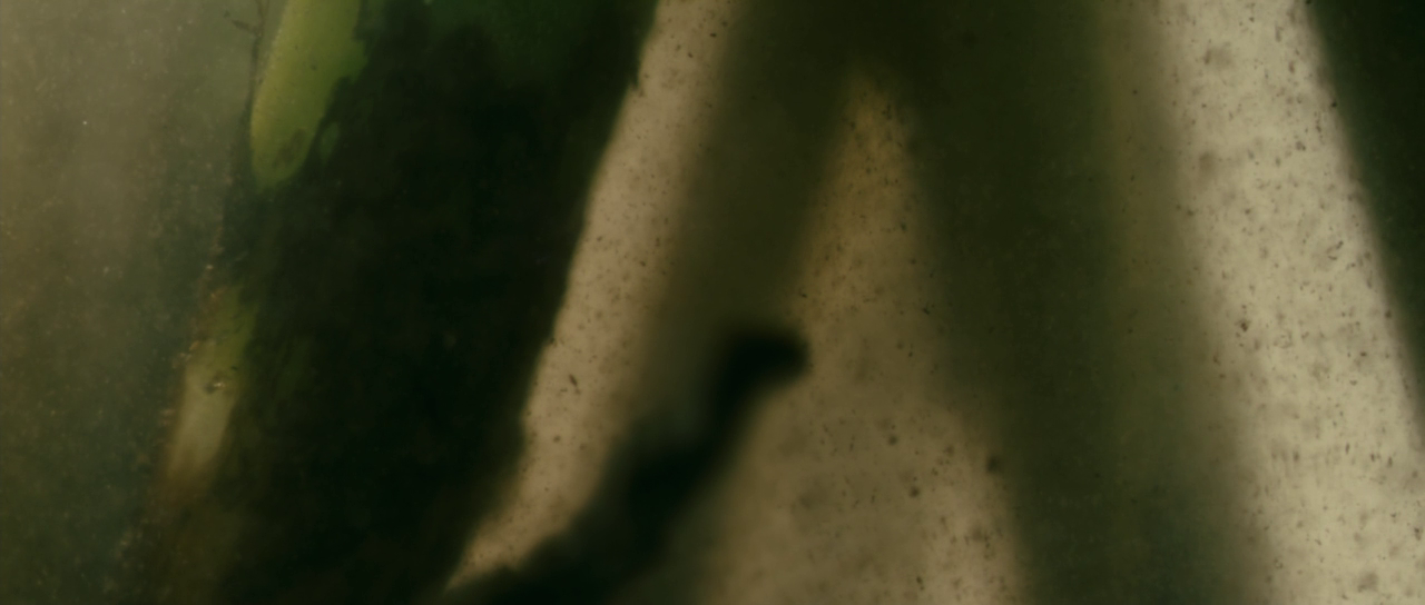 abderrahmane-sissako:  Antichrist (2009)