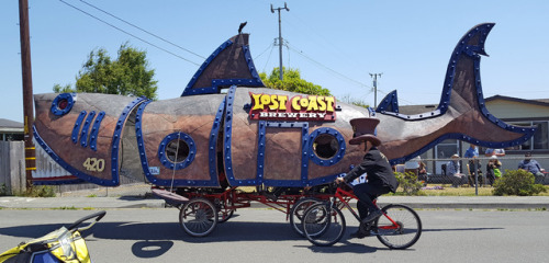 “-Let me drive like a shark!”