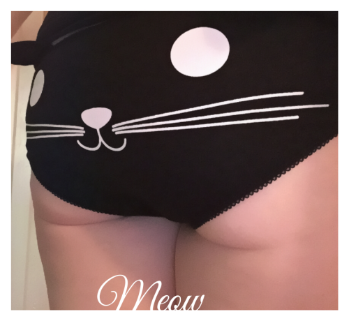 urbadhabbit:  From now on if a random dude on whisper asks for a pussy pic this is what he’s gonna get