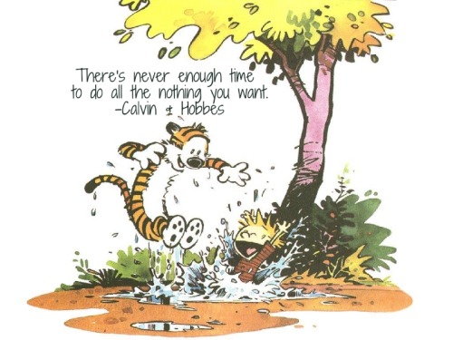 ahowlingcrab:  Bill Watterson (Calvin & Hobbes) really knew what he was doing. 