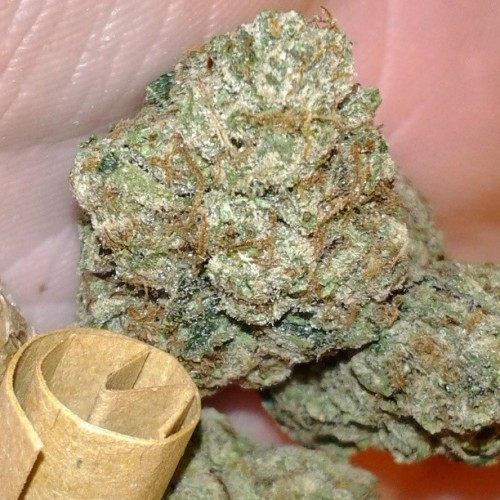 weedporndaily:  hardball317 