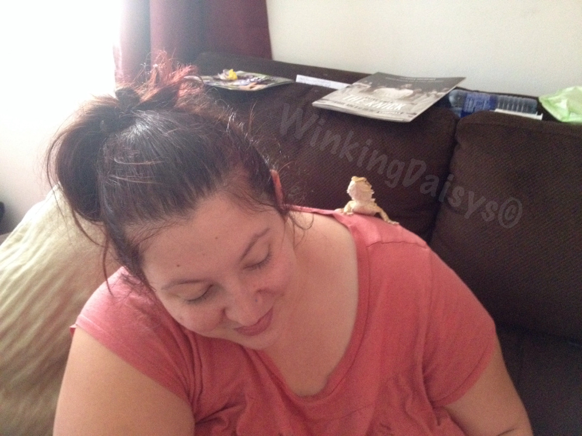 winkingdaisys:  My fiancé took this pic. I like it a great deal.  It’s just a