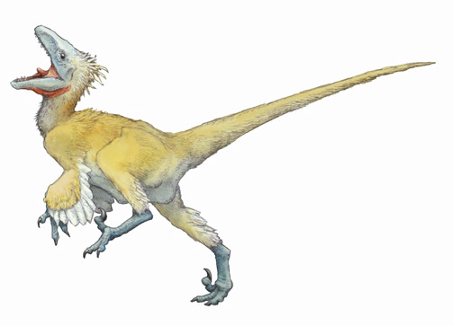 The Terrible Claw: Facts About Deinonychus