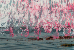 aestheticgoddess:  Painting layered over photograph by Gerhard Richter