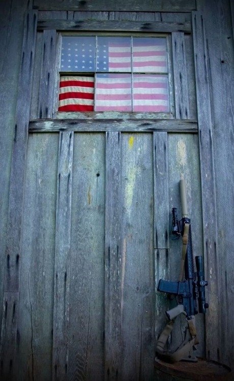 usa1776: Come for my flag…and that rifle is for you.