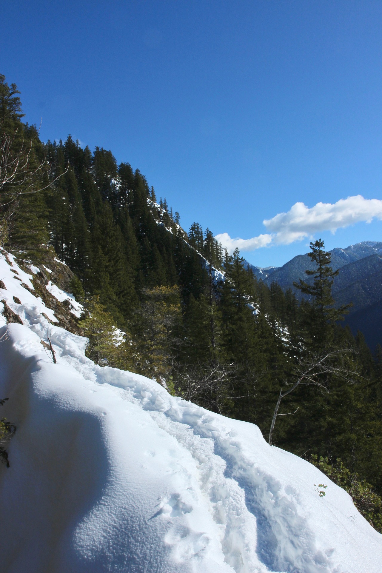 burningmine: View from Mount Storm King, March 2019