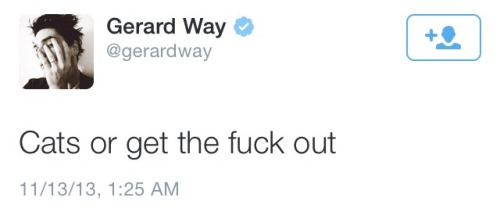 stolen-band-memes: the-black-melody: transelectra: gerard way + inspirational tweets Words to live b