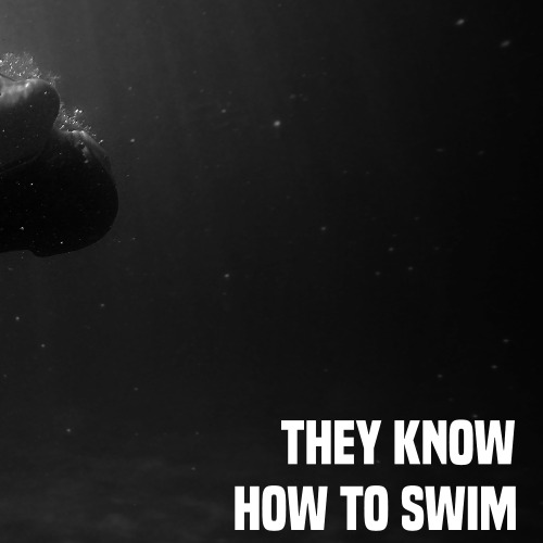 poppunklateatnight:  Bring Me The Horizon // Can You Feel My Heart