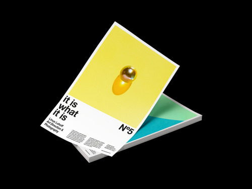thedsgnblog: Poster Series »It is what it is« - Self publication of Linus Lohoff &l