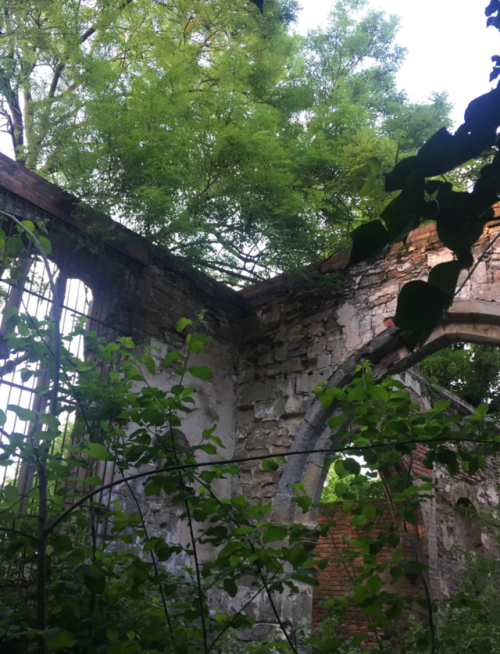 cryptmutt:church ruins, nottingham.