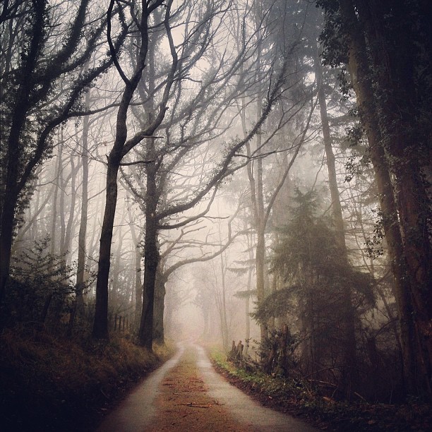 foxmouth:  Instagram, 2014 | by Finn Beales + @finn on Instagram